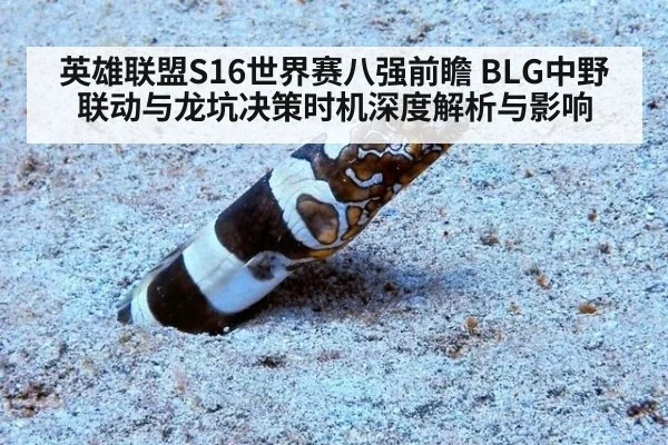 英雄联盟S16世界赛八强前瞻 BLG中野联动与龙坑决策时机深度解析与影响
